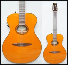 Chitarra elettroacustica