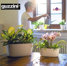 GUZZINI PORTAVASO GRANDE PICCOLO TIERRA     ( PROMO )