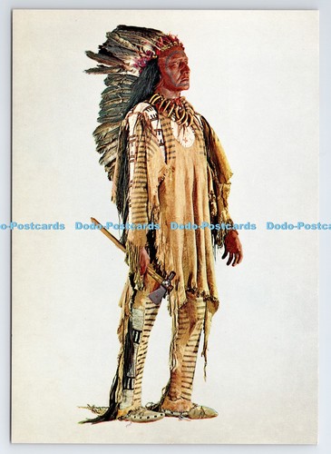 D334611 prairie indian - d334611,