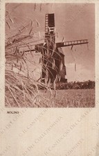 1946 Mill Windmill in a Wheat