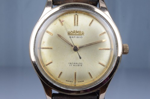 Roamer anfibio - roamer, "anfibio"