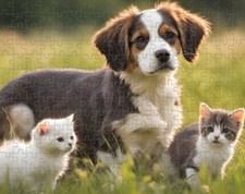 Puzzle simpatico cucciolo e