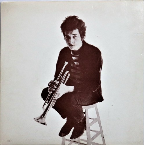 Bob dylan rocks gravels - bob, dylan;rocks