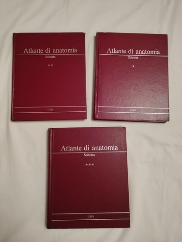 Atlantide anatomia volume - anatomia,