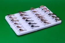 Set ninfe gambo corto 24x