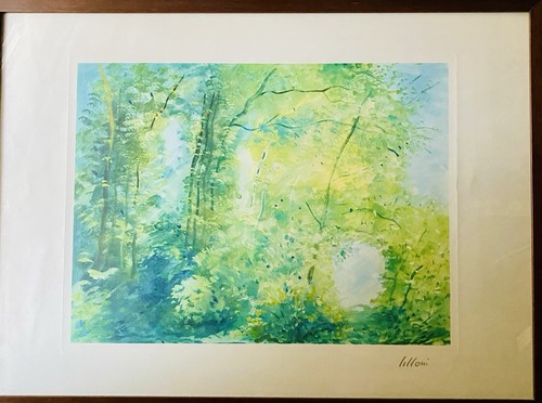 Umberto lilloni - umberto,