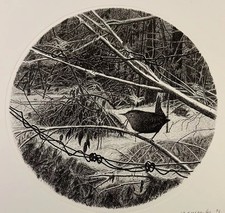 G.B. TREGAMBE+Lo Scricciolo+ 1996+Acquaforte Su Rame+30x30 cm+ es.10/60