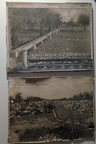 Foto inizio 900 forlì - inizio,