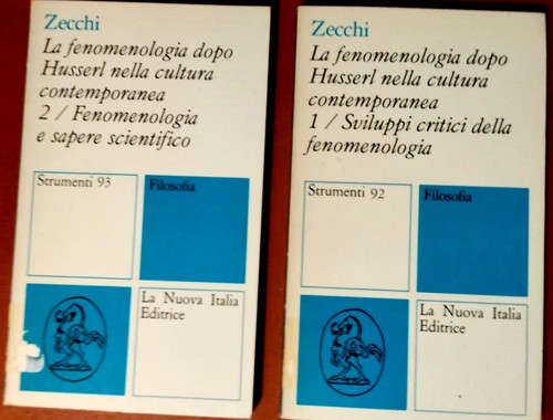 Zecchi fenomenologia dopo - zecchi,