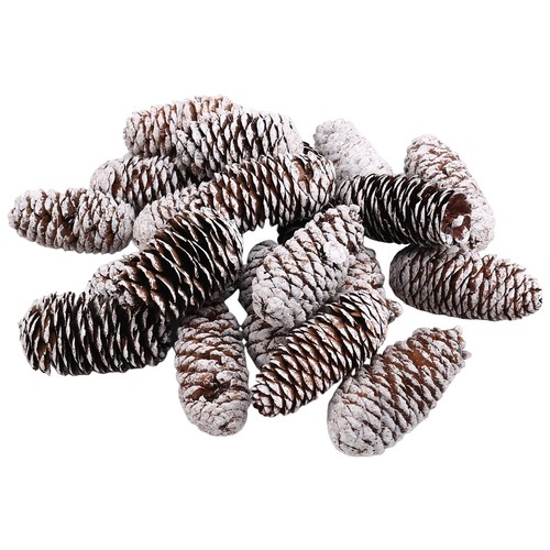 Pezzi pigne decorative - 20,