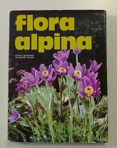 Flora alpina uberto tosco - flora,