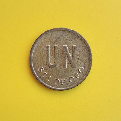 Moneta sol oro - moneta, dal