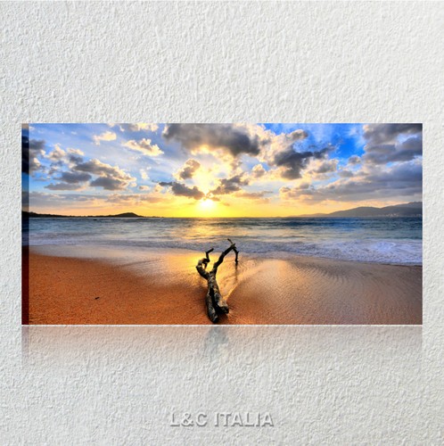 Sea shole quadro - quadro, mare