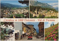 CAVALESE - VAL DI FIEMME -