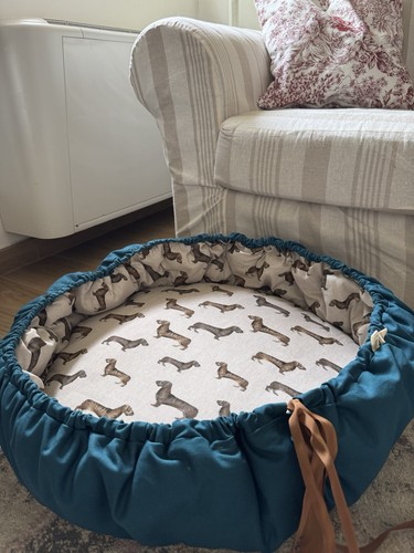 Cuccia per cane puro - cuccia, cane,
