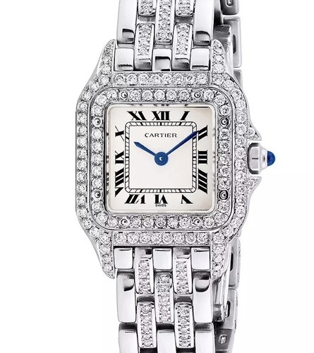 Cartier panthere silver dial - cartier,
