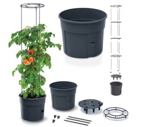 Vaso coltivatore pomodoro - vaso,