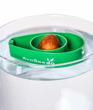 Avoseedo