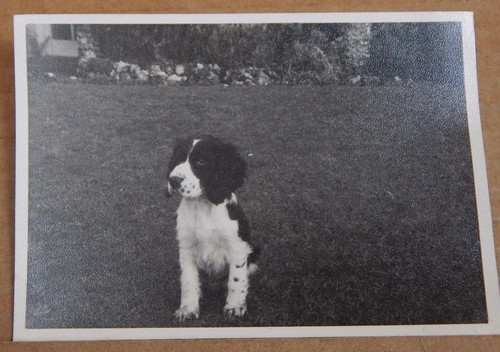 Photograph social history - ,