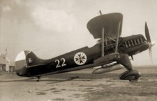 HEINKEL He 51 (larghezza di