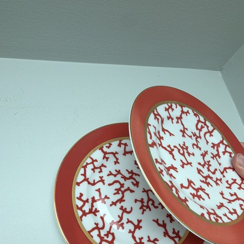 Raynaud cristobal coral - raynaud, 2