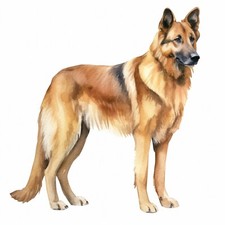 2 adesivi auto cane pastore