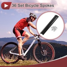 Set 36 Raggi Bicicletta 14G