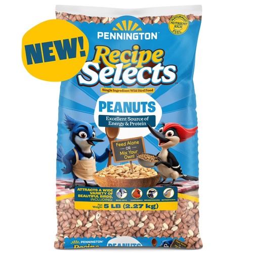 Pennington peanuts shelled - pennington,
