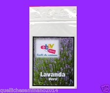 500 SEMI DI LAVANDA-lavandula