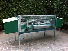 Conigliera con fattrici eko