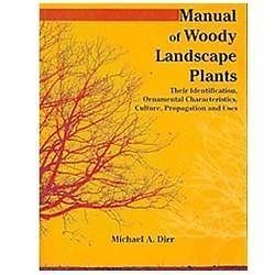 Manual woody landscape - of,