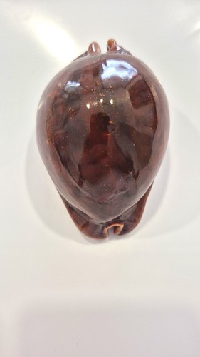 Trona stercoraria red rare - trona,