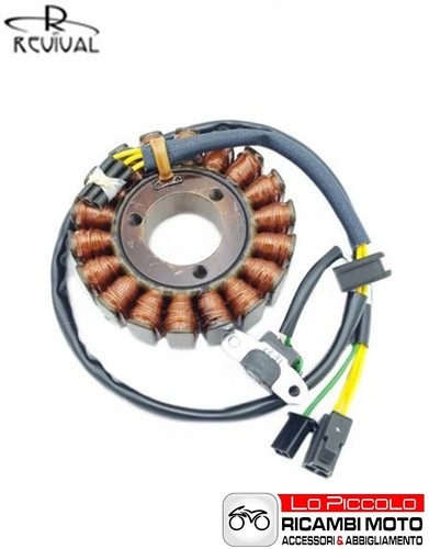 Statore magnete accensione - magnete,