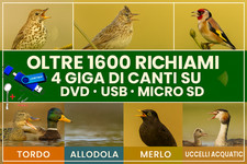 MEGA RACCOLTA 1600 RICHIAMI UCCELLI IN MP3 CARDELLINO TORDO MERLO ANATRA  4 GB
