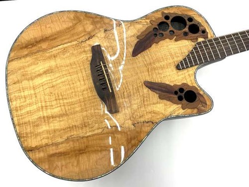 Chitarra elettrica acustica