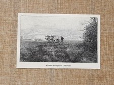 Mattino Quadro di Alceste Campriani Stampa del 1898