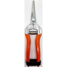 FORBICI COGLIUVA VENDEMMIA