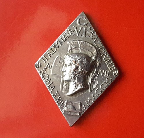 Distintivo spilla adunata - distintivo,