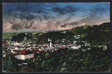 Cartolina Cilli, veduta parziale dell'avifauna 1917 