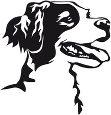 Adesivo EPAGNEUL BRETON -