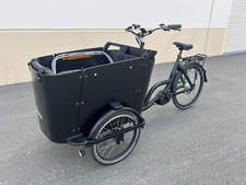 Cargo Family Bike - 4 Seater