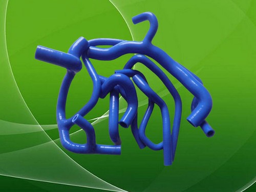 Silicone hose for - for, renault