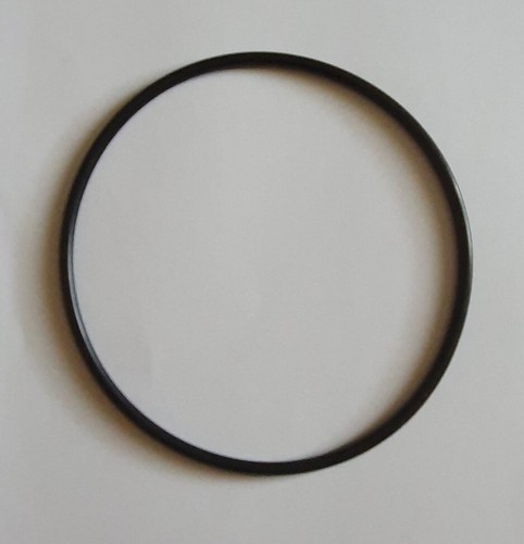 Guarnizione ring centrifuga - guarnizione,