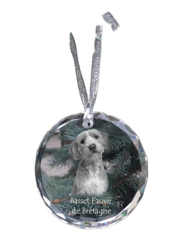 Basset fauve bretagne - basset,