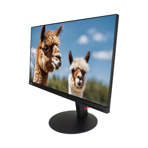 Lenovo thinkvision p24h - thinkvision, p24h-10