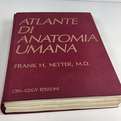 Atlante anatomia umana - di,