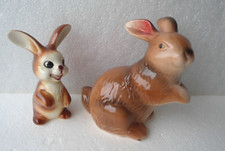 Coniglio di Goebel e Sigro -