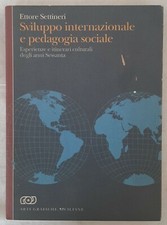 Ettore Settineri - Sviluppo