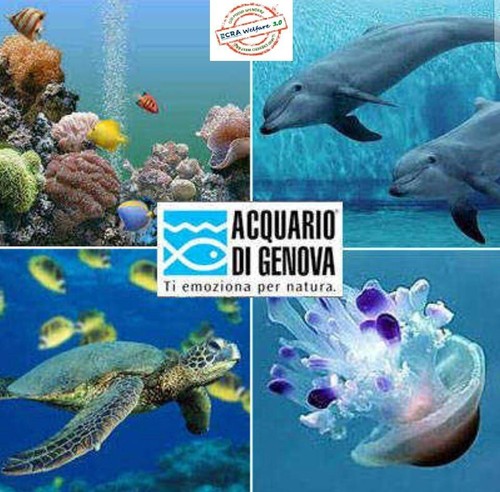 Biglietti acquario genova - biglietti,