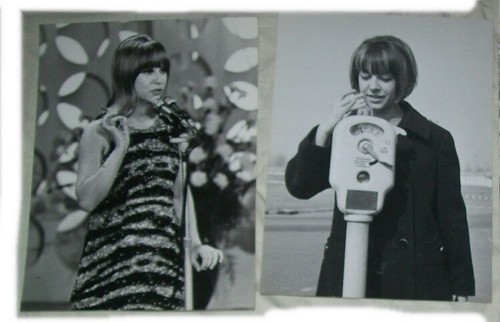 Lotto foto cantante wilma - 2,